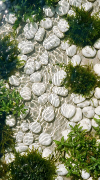 Smooth white stones and green moss in a shallow clear stream of water