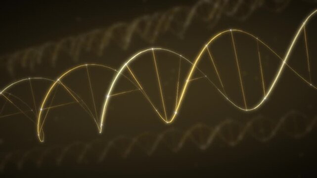 Rotating DNA Double Helix with Glowing Strands and Base Pairs seamless loop in subtle gold tones