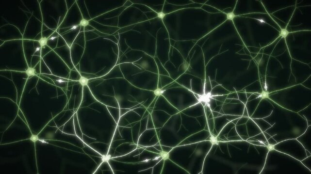 Neural Network of Firing Neurons with Glowing Synapses and Electrical Impulses Seamless Loop in calm green tones