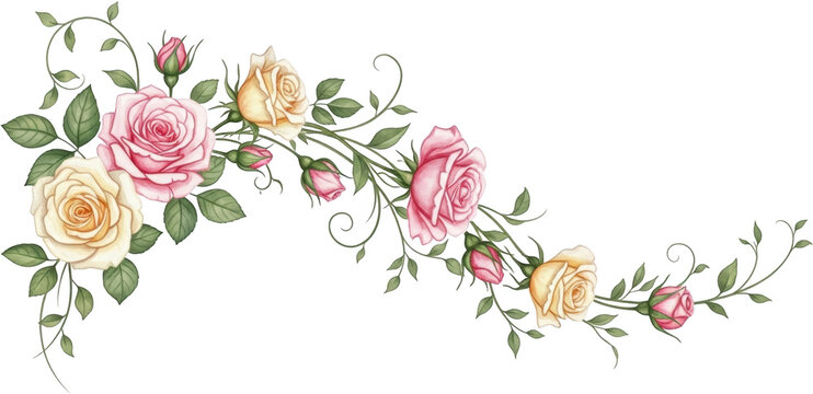 Delicate watercolor floral arrangement featuring pink and cream roses with green leaves and curling vines forming an ornate border yellow bloom flower botanical nature garden
