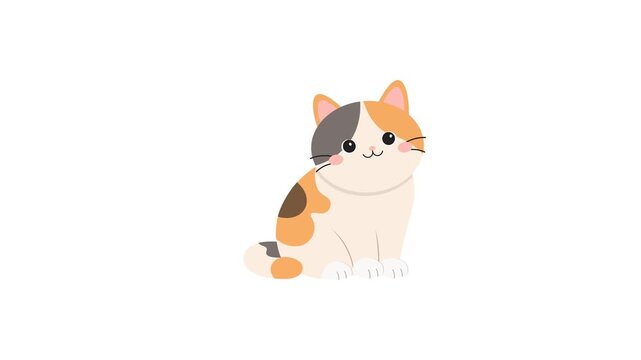 Cute calico cat with white, orange, and black fur, perfect for pet care logos, childrens books, and social media posts.