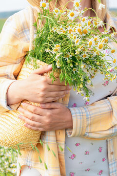 Woman holding straw bag filled with freshly picked chamomile flowers, enjoying warm summer day in field. Slow life, summer aesthetic