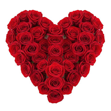 Beautiful red rose flowers arranged in a heart shape