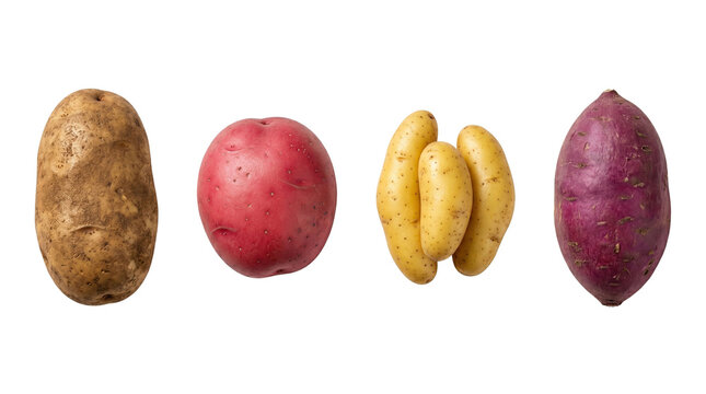 Assorted fresh raw potatoes including russet red and sweet potato high quality 4K PNG image in high quality 4K PNG image in white background