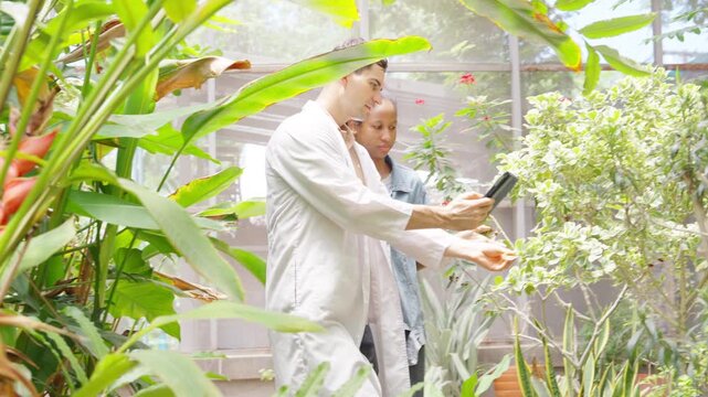 African teenage girl learning plant cultivation with botanist in greenhouse, agriculture education and botany research, sustainable farming, plant science study, environmental ecology technology.