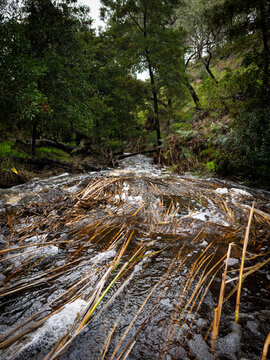 Waterfall Creek on the way to Ingalalla Falls waterfall in Hay Flat on the Fleurieu Peninsula, South Australia