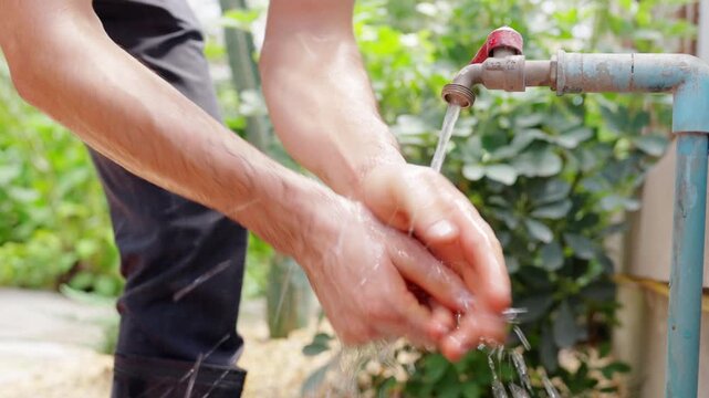Male botanist caring and watering plants in greenhouse, botany research and plant biology study, sustainable agriculture, herbal cultivation, environmental science and natural medicine production