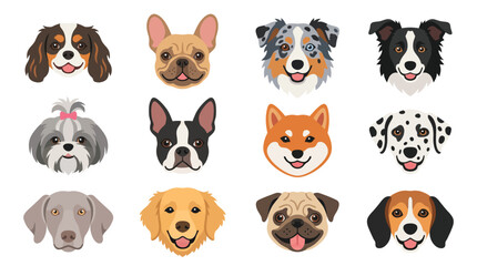 Fototapeta premium Dog breed faces collection, set of 12 flat vector pet head icons, cute puppy portraits for veterinary and grooming services