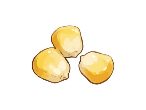 Appetizing sweet corn illustration with glossy golden kernels, fresh juicy texture and vibrant food styling ／ シズル感のあるとうもろこしのイラスト、艶のある黄金色の粒とみずみずしい質感を表現した美味しそうなフードイラスト