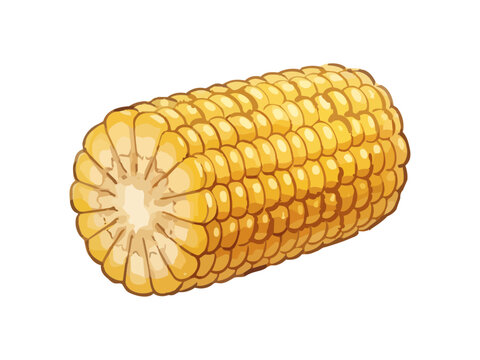 Appetizing sweet corn illustration with glossy golden kernels, fresh juicy texture and vibrant food styling ／ シズル感のあるとうもろこしのイラスト、艶のある黄金色の粒とみずみずしい質感を表現した美味しそうなフードイラスト