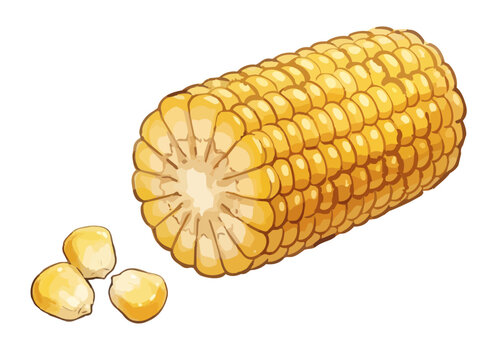 Appetizing sweet corn illustration with glossy golden kernels, fresh juicy texture and vibrant food styling ／ シズル感のあるとうもろこしのイラスト、艶のある黄金色の粒とみずみずしい質感を表現した美味しそうなフードイラスト