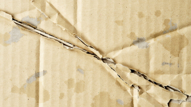 Torn corrugated cardboard texture, ripped brown paper background with water stains, damaged recycled packaging material with rough edges