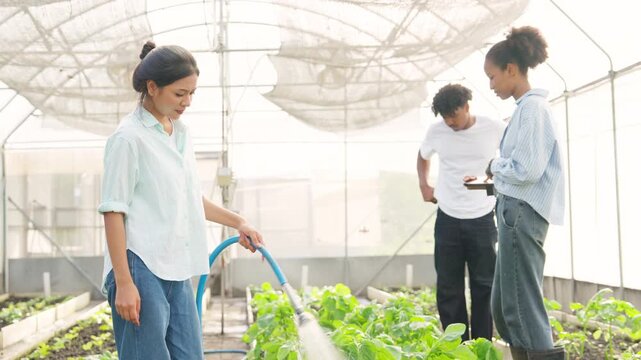 Happy teenage boy and girl growing plant in greenhouse garden. Young farmer caring and watering organic lettuce vegetables in agriculture farm. Student learn organic farming for sustainable living.