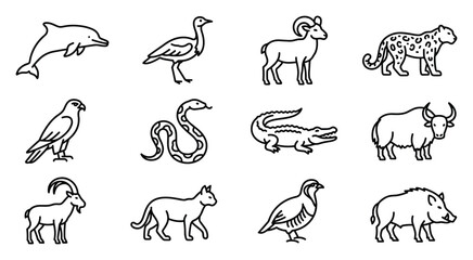 Wildlife animals and birds vector set, dolphin peacock markhor leopard eagle cobra snake crocodile buffalo deer fox pigeon rhino line art icons for zoo wildlife nature and conservation design © Sami