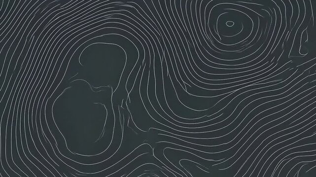 Minimalist Topographic Contour Lines Abstract Motion Background