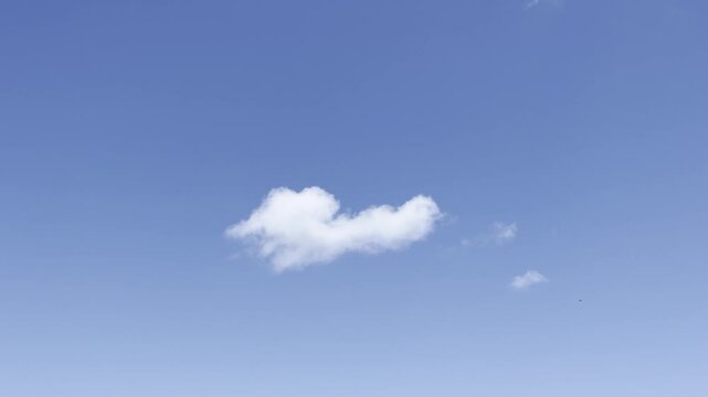 Cumulus generally refers to the puffy, white, cotton-like clouds with flat bases and rounded tops often seen on sunny days. in Waikiki, Honolulu, Oahu, Hawaii.