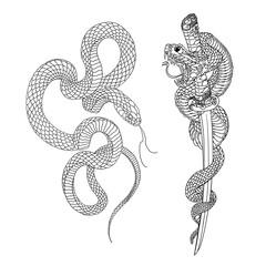 Tattoo snake vector illustration © RRR_Studio