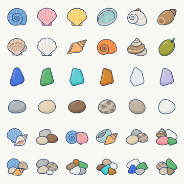 Colorful Beach Shells and Stones Collection Illustration