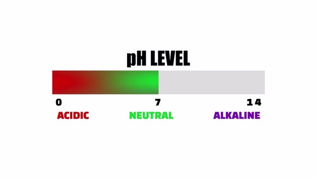 Horizontal pH Level Acidic Neutral and Alkaline Scale Animation.
