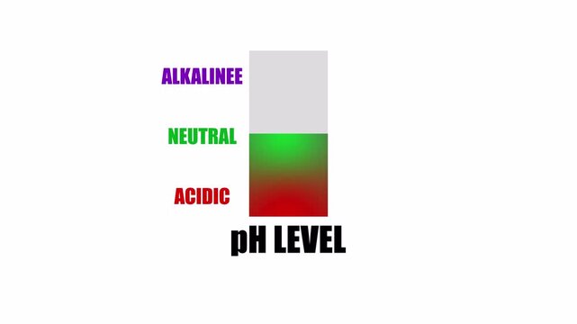 Vertical pH Level Meter Animation with Scientific Measurement Scale.