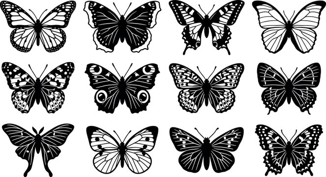 Detailed butterfly silhouette vector collection with black and white decorative insect wings isolated on white background for stencil designs