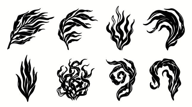 Set of hand drawn seaweed and marine plant illustrations.