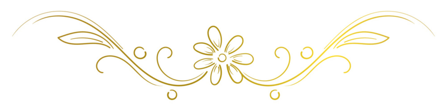 Hand-drawn gold line floral divider