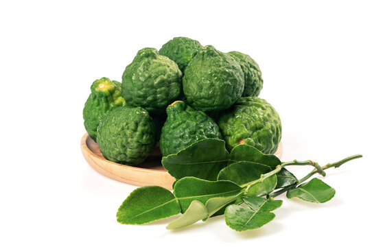 Group of fresh green kaffir lime (bergamot) fruits and aromatic leaves on a wooden plate, isolated on white background.  for Thai cuisine, herbal medicine, and spa themes.