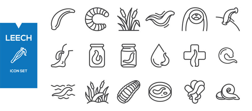 Leech Icons Set &ndash; Flat Parasite, Worm Medical Biology Vector Collection