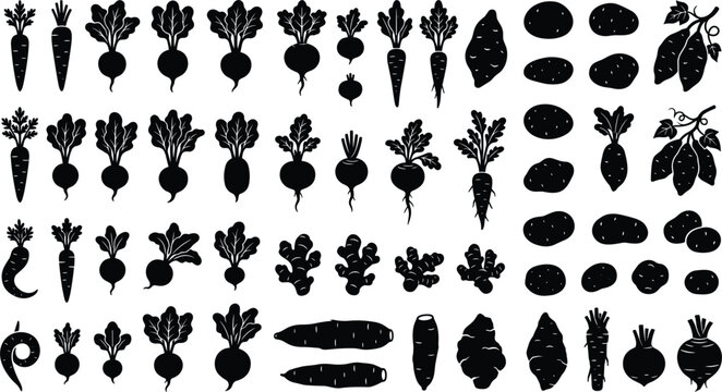  Organic garden crops and raw cooking ingredients silhouettes with horseradish beetroot daikon yam home grown vegetables flat graphic design elements vector illustration