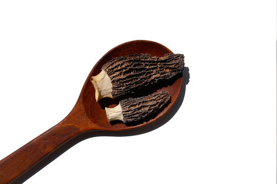 Dried morel mushrooms on white background.