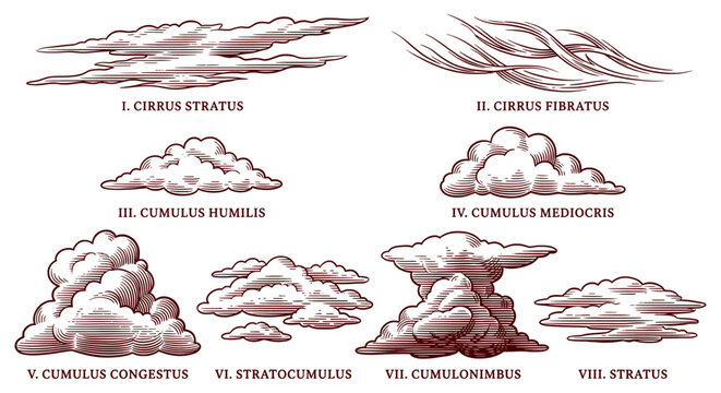 Vintage cloud classification chart, set of 8 hand-drawn meteorological cloud types, antique scientific engraving of cumulus and cirrus formations