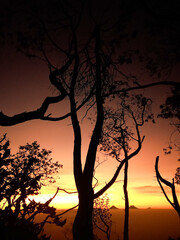 Beautiful sunrise shining through silhouetted trees with warm golden colors over the distant mountains. Dramatic natural landscape perfect for travel and adventure themes. © khoiril_faaizun