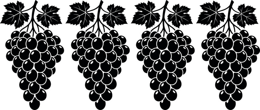 Grape bunches stencil silhouette collection vector illustration with fresh vine leaves isolated on plain white background