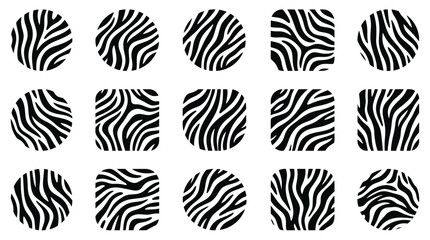 Abstract Zebra Stripe Patterns in Various Shapes. © MR.HAY