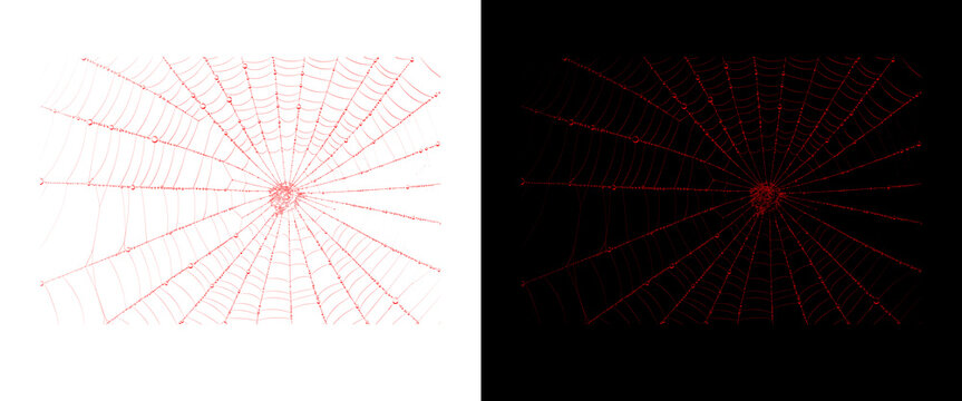 Red spider web pattern on white and black backgrounds, geometric cobweb design, abstract radial line art for Halloween and spooky concepts