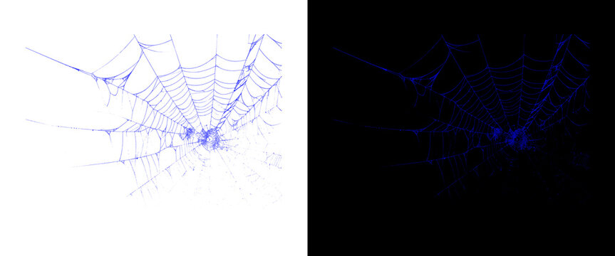 Intricate blue spider web on white and black background, detailed cobweb texture, spooky halloween design element for horror and mystery themes