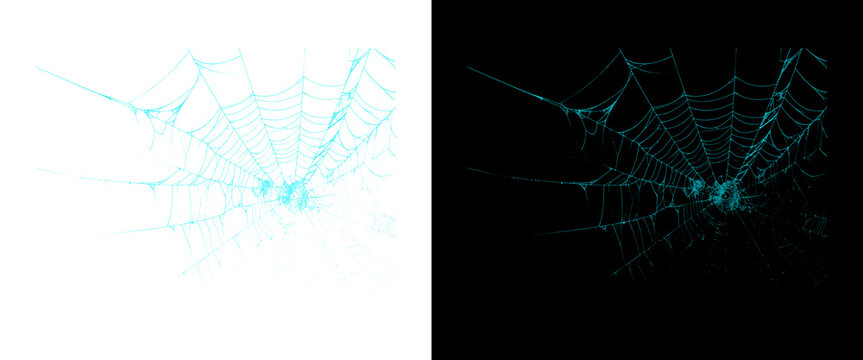 Cyan spider web texture on black and white backgrounds, glowing neon cobweb design, intricate digital spiderweb overlay for Halloween and spooky themes