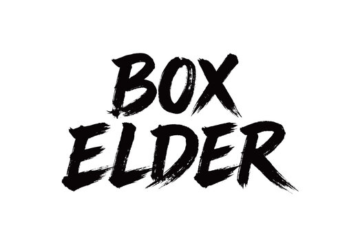 BOX ELDER Handwriting