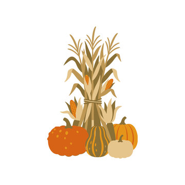 Autumn corn stalks and pumpkins harvest vector.