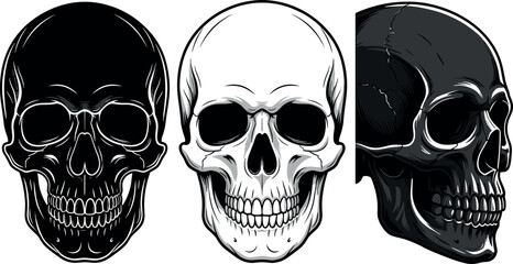 Fototapeta premium Human skull collection vector illustration with black white and side view profile cranium elements isolated on white background