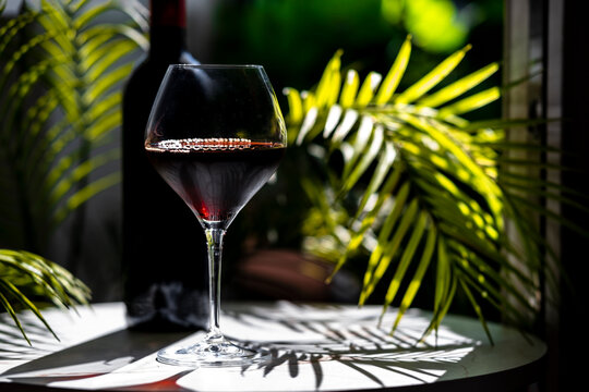 Burgundy Pinot Noir red wine glass and dark bottle with palm leaf sunlight shadows
