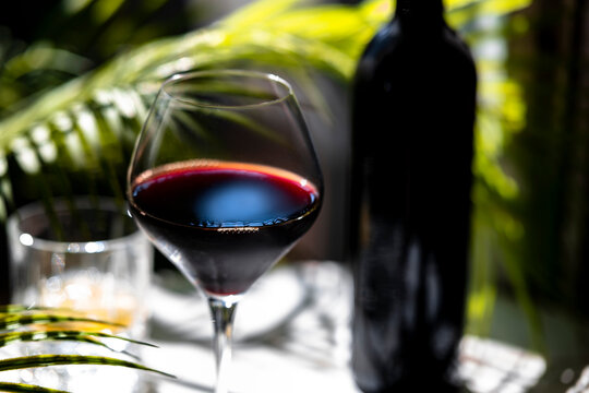 Napa Valley Cabernet Sauvignon red wine glass with dark bottle and tropical palm shadow pattern