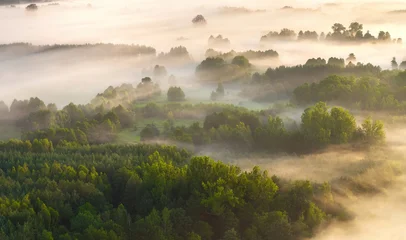 High view of fog over trees © Piotr Krzeslak