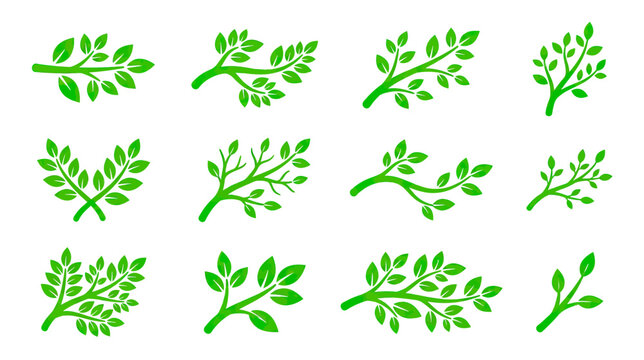 Collection of Green Leafy Branches Vector Set