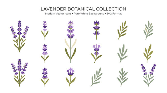 Botanical Lavender Icons and Leaves Collection