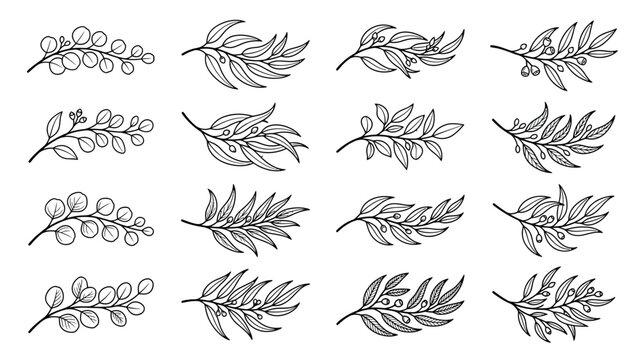 Botanical Line Art Elements