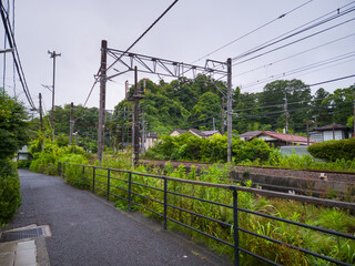 Obraz premium A quiet paved path next to a railway line with lush green foliage and houses under an overcast sky in Kamakura, Japan.
