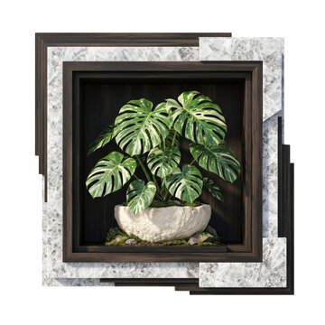 Variegated monstera plant in a modern concrete pot inside a decorative wooden shadow box frame