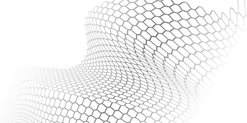 Fishing or soccer net. Repeated hexagon pattern. Black wired mesh texture isolated on white background. © Arya